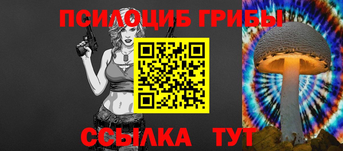 дарнет шоп  Псилоцибиновые грибы Magic Shrooms  Вход с VPN  Кизляр 